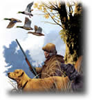 Hunting license tax