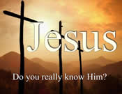 What would Jesus do?