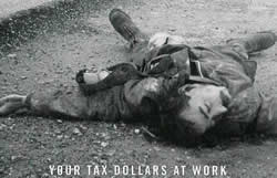 Your tax dollars at work.