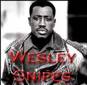Actor Wesley Snipes - Tax Cheat or Tax Pro-Tester?